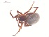  ( - 10-SKBC-0054)  @11 [ ] CreativeCommons - Attribution (2010) Unspecified Centre for Biodiversity Genomics
