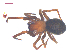  ( - 10-SKBC-0454)  @13 [ ] CreativeCommons - Attribution (2010) Unspecified Centre for Biodiversity Genomics