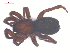  ( - 10-SKBC-0170)  @13 [ ] CreativeCommons - Attribution (2010) Unspecified Centre for Biodiversity Genomics