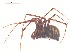  ( - 10-SKBC-0077)  @12 [ ] CreativeCommons - Attribution (2010) Unspecified Centre for Biodiversity Genomics