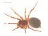  ( - 10-SKBC-0088)  @13 [ ] CreativeCommons - Attribution (2010) Unspecified Centre for Biodiversity Genomics