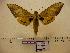  ( - BC-Mel 0237)  @14 [ ] Copyright (2010) Unspecified Research Collection of Tomas Melichar