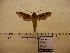  ( - BC-Mel 0267)  @13 [ ] Copyright (2010) Unspecified Research Collection of Tomas Melichar