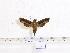  ( - BC-Mel 0546)  @13 [ ] Copyright (2010) Unspecified Research Collection of Tomas Melichar