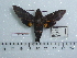  ( - BC-Mel 0587)  @11 [ ] Copyright (2010) Unspecified Research Collection of Tomas Melichar