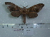  ( - BC-Mel 0598)  @13 [ ] Copyright (2010) Unspecified Research Collection of Tomas Melichar