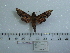  ( - BC-Mel 0617)  @12 [ ] Copyright (2010) Unspecified Research Collection of Tomas Melichar