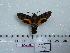  ( - BC-Mel 0651)  @13 [ ] Copyright (2010) Unspecified Research Collection of Tomas Melichar