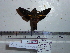  ( - BC-Mel 0792)  @11 [ ] Copyright (2010) Unspecified Research Collection of Tomas Melichar