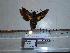  ( - BC-Mel 0819)  @12 [ ] Copyright (2010) Unspecified Research Collection of Tomas Melichar
