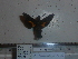  ( - BC-Mel 0880)  @12 [ ] Copyright (2010) Unspecified Research Collection of Tomas Melichar