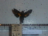  ( - BC-Mel 0882)  @11 [ ] Copyright (2010) Unspecified Research Collection of Tomas Melichar