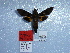  ( - BC-Mel 0902)  @12 [ ] Copyright (2010) Unspecified Research Collection of Tomas Melichar
