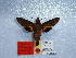  ( - BC-Mel 0927)  @13 [ ] Copyright (2010) Unspecified Research Collection of Tomas Melichar