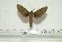  ( - BC-Mel 0128)  @13 [ ] Copyright (2010) Unspecified Research Collection of Tomas Melichar