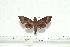  ( - BC-Mel 0163)  @14 [ ] Copyright (2010) Unspecified Research Collection of Tomas Melichar