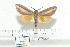  ( - BC-Mel 0183)  @13 [ ] Copyright (2010) Unspecified Research Collection of Tomas Melichar