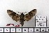  ( - BC-Mel 1022)  @13 [ ] Copyright (2010) Unspecified Research Collection of Tomas Melichar