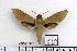  ( - BC-Mel 1052)  @15 [ ] Copyright (2010) Unspecified Research Collection of Tomas Melichar