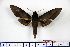 ( - BC-Mel1220)  @14 [ ] Copyright (2010) Unspecified Research Collection of Tomas Melichar