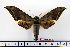  ( - BC-Mel1281)  @14 [ ] Copyright (2010) Unspecified Research Collection of Tomas Melichar