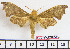  ( - BC-Mel2022)  @11 [ ] Copyright (2010) Tomas Melichar Research Collection of Tomas Melichar