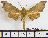  ( - BC-Mel2023)  @11 [ ] Copyright (2010) Tomas Melichar Research Collection of Tomas Melichar