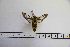  ( - BC-Mel3108)  @11 [ ] Copyright (2014) Tomas Melichar Research Collection of Tomas Mleichar