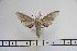  ( - BC-Mel3119)  @12 [ ] Copyright (2014) Tomas Melichar Research Collection of Tomas Mleichar