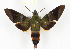  ( - CTBB-1775)  @14 [ ] Copyright (2019) Unspecified Research Collection of Thierry Bouyer