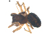  ( - BIOUG00627-A02)  @12 [ ] CC-0  G. Blagoev 2010 Unspecified