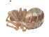  ( - BIOUG00627-A05)  @12 [ ] CC-0  G. Blagoev 2010 Unspecified