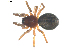  ( - BIOUG00627-E07)  @13 [ ] CC-0  G. Blagoev 2010 Unspecified