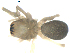  ( - BIOUG00627-F06)  @12 [ ] CC-0  G. Blagoev 2010 Unspecified