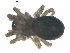  ( - BIOUG00627-F07)  @12 [ ] CC-0  G. Blagoev 2010 Unspecified
