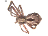  ( - BIOUG00627-G09)  @12 [ ] CC-0  G. Blagoev 2010 Unspecified