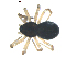 ( - BIOUG00627-H06)  @13 [ ] CC-0  G. Blagoev 2010 Unspecified