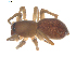  ( - BIOUG00627-H07)  @13 [ ] CC-0  G. Blagoev 2010 Unspecified