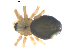  ( - BIOUG00628-B05)  @12 [ ] CC-0  G. Blagoev 2010 Unspecified