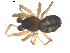  ( - BIOUG00628-B08)  @13 [ ] CC-0  G. Blagoev 2010 Unspecified