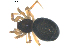  ( - BIOUG00628-C06)  @12 [ ] CC-0  G. Blagoev 2010 Unspecified