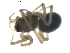  ( - BIOUG00628-F04)  @12 [ ] CC-0  G. Blagoev 2010 Unspecified