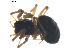  ( - BIOUG00628-F08)  @12 [ ] CC-0  G. Blagoev 2010 Unspecified