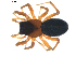  ( - BIOUG00628-H05)  @13 [ ] CC-0  G. Blagoev 2010 Unspecified