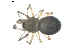  ( - BIOUG00629-B10)  @13 [ ] CC-0  G. Blagoev 2010 Unspecified