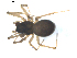  ( - BIOUG00629-C01)  @12 [ ] CC-0  G. Blagoev 2010 Unspecified
