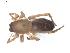  ( - BIOUG00629-C05)  @13 [ ] CC-0  G. Blagoev 2010 Unspecified