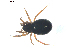  ( - BIOUG00629-E11)  @12 [ ] CC-0  G. Blagoev 2010 Unspecified