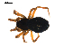  ( - BIOUG00629-E12)  @12 [ ] CC-0  G. Blagoev 2010 Unspecified