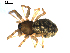  ( - BIOUG00629-G04)  @13 [ ] CC-0  G. Blagoev 2010 Unspecified